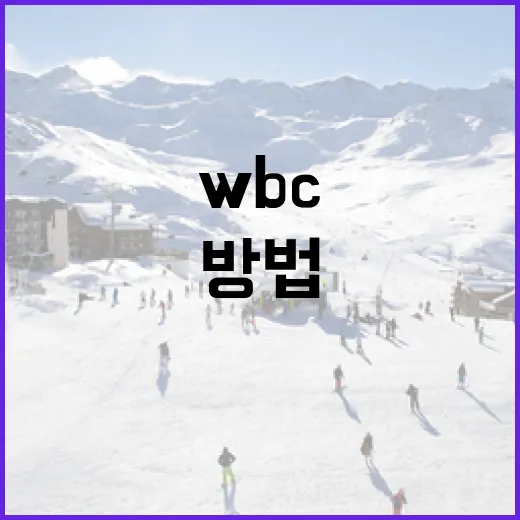 WBC 일정을 효과적으로 따라잡는 방법 - 요약