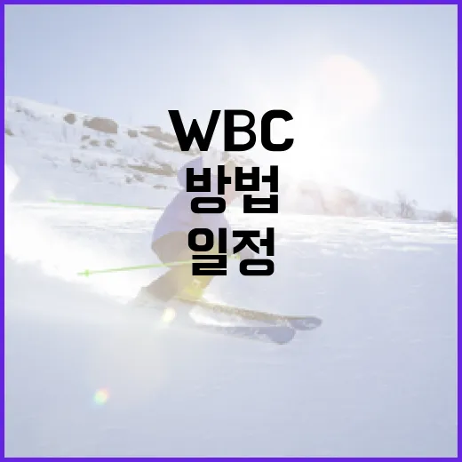 WBC 일정을 효과적으로 확인하는 방법 - 요약