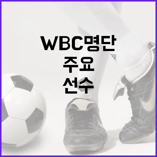 WBC 명단 확인하는 방법과 주요 선수 분석 - 요약