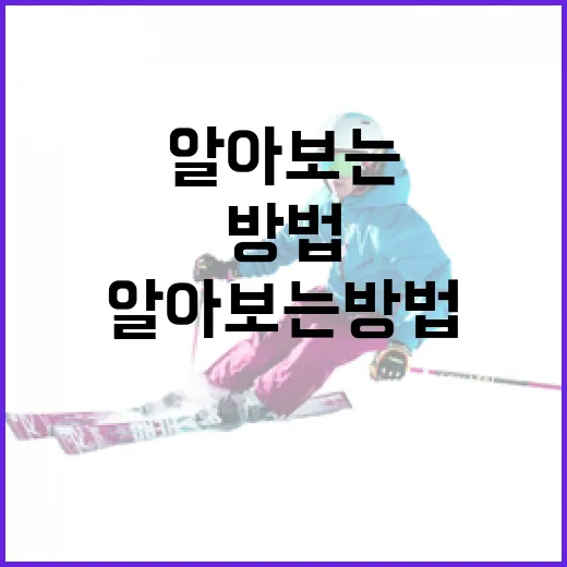 김상겸과 박한솔을 알아보는 방법: 두 전문가의 경로와 업적 - 요약