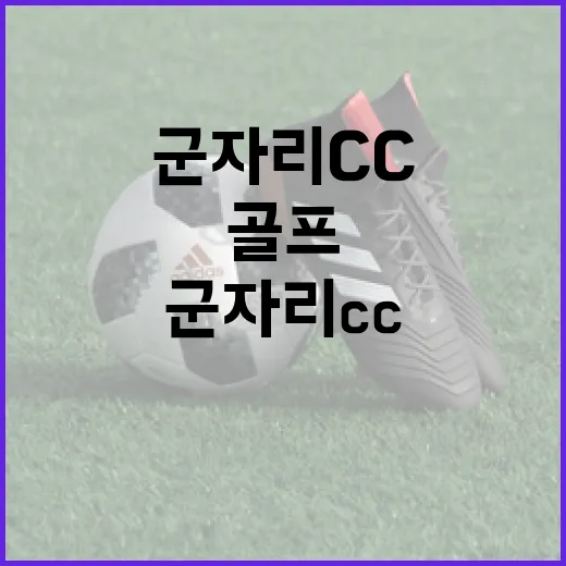 군자리CC에서 골프를 즐기는 방법 - 요약