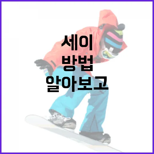 세이 위트컴에 대해 알아보고 이해하는 방법 - 요약