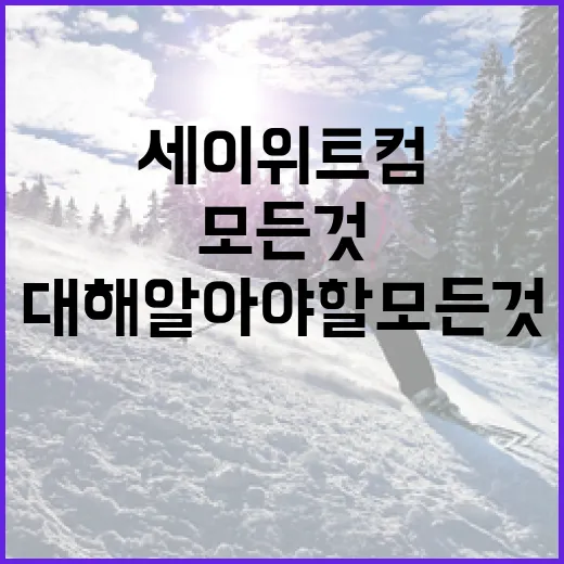 세이 위트컴에 대해 알아야 할 모든 것 - 요약