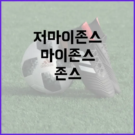 저마이 존스를 이해하고 활용하는 방법 - 요약