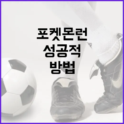 포켓몬런 성공적으로 즐기는 방법 - 요약