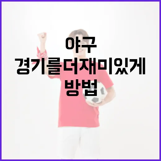 박민서 야구 경기를 더 재미있게 즐기는 방법 - 요약