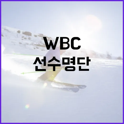 WBC 명단 알아보는 방법: 선수 명단과 주요 정보 - 요약