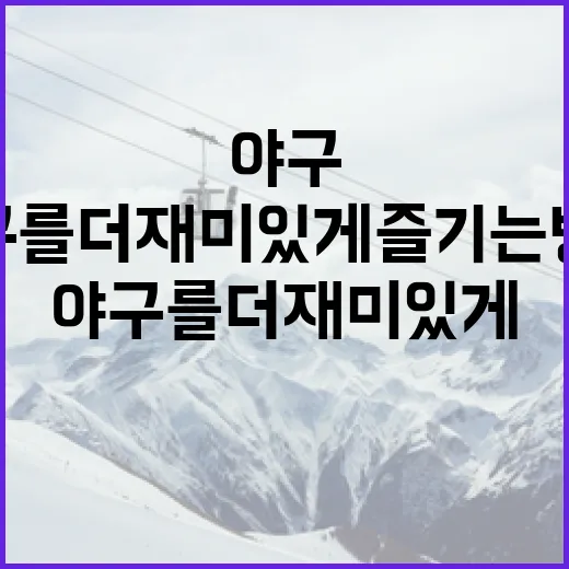 박민서 야구를 더 재미있게 즐기는 방법 - 요약