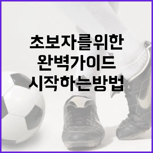 포켓몬런을 시작하는 방법: 초보자를 위한 완벽 가이드 - 요약