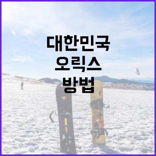 대한민국 오릭스를 이해하는 방법: 금융 서비스를 중심으로 - 요약