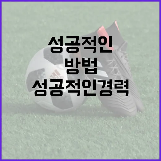 김상겸과 박한솔을 통해 배우는 성공적인 경력 쌓기 방법 - 요약