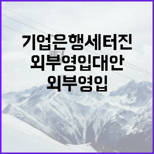 기업은행 세터진 외부 영입 대안 찾는 방법 - 요약