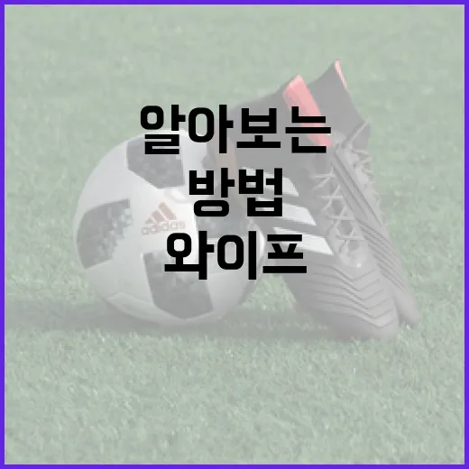 김상겸 와이프에 대해 알아보는 방법 - 요약