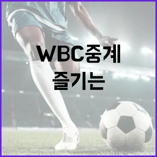 WBC 중계를 즐기는 방법 - 요약