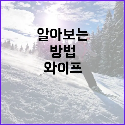 김상겸 와이프에 대해 알아보는 방법 - 요약