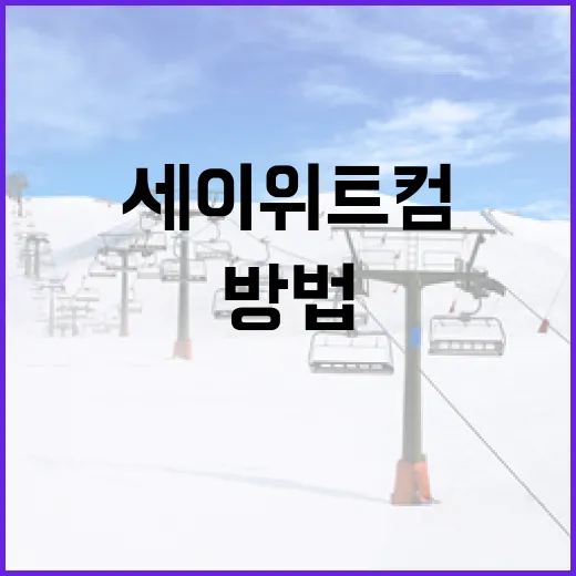 세이 위트컴의 국적 알아보는 방법 - 요약