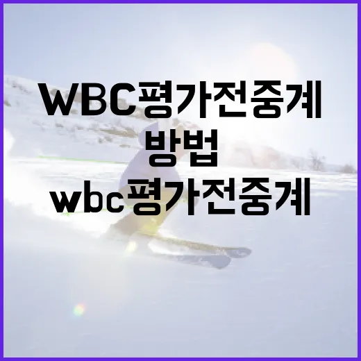 WBC 평가전 중계를 즐기는 방법 - 요약
