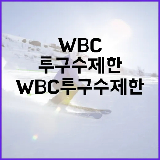 WBC 투구수 제한을 이해하고 효과적으로 활용하는 방법 - 요약