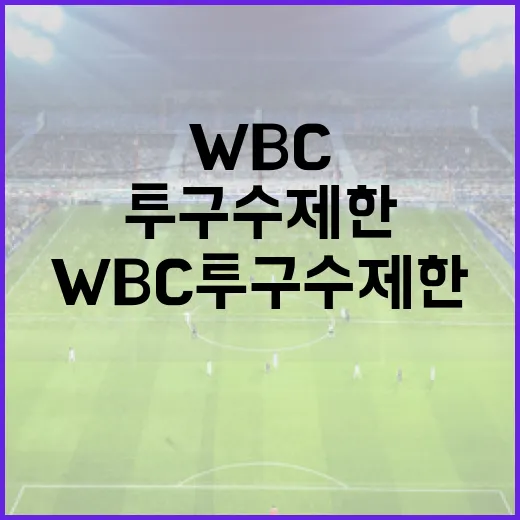 WBC 투구수 제한을 이해하고 효과적으로 활용하는 방법 - 요약