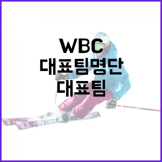 WBC 일본 대표팀 명단을 알아보는 방법 - 요약