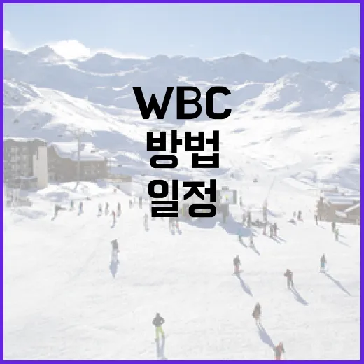 WBC 일정을 효율적으로 확인하는 방법 - 요약