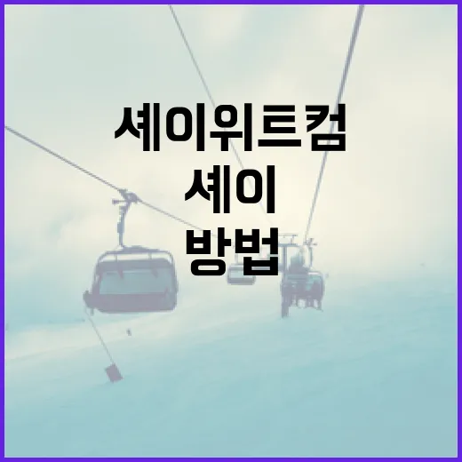 셰이 위트컴을 이해하고 알아가는 방법 - 요약