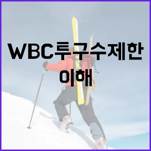WBC 투구수 제한을 이해하고 효과적으로 관리하는 방법 - 요약