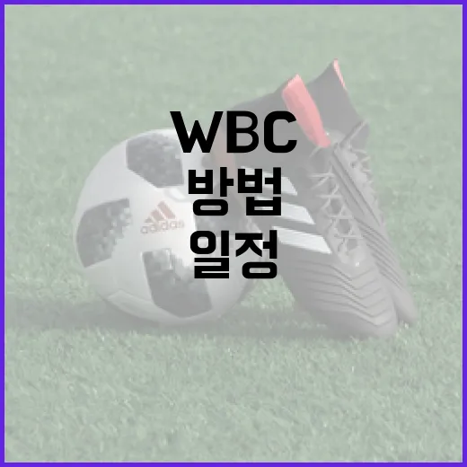 WBC 일정을 효과적으로 확인하는 방법 - 요약