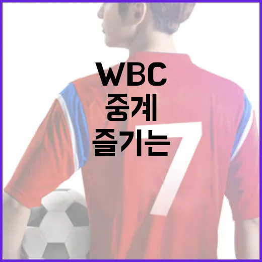 WBC 중계를 즐기는 방법: 필수 팁과 정보 - 요약