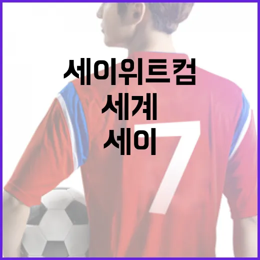 세이 위트컴의 작품 세계를 이해하는 방법 - 요약