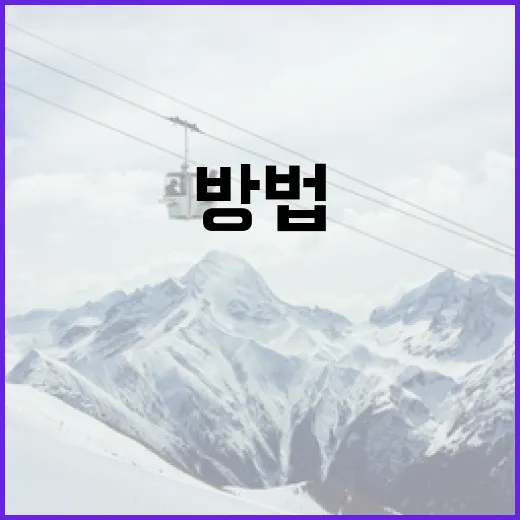 위트컴을 이해하고 활용하는 방법 - 요약