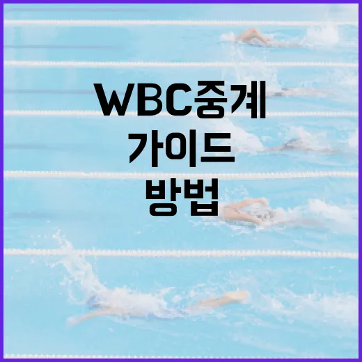 WBC 중계를 즐기는 방법: 초보자를 위한 가이드 - 요약