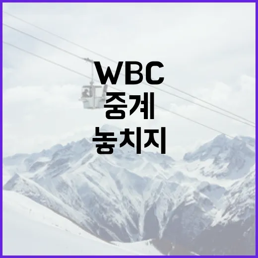 WBC 중계를 놓치지 않는 방법 - 요약