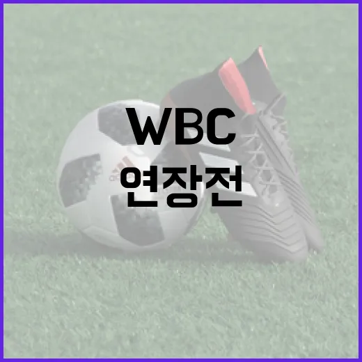 WBC 연장전에서 승리하는 방법 - 요약