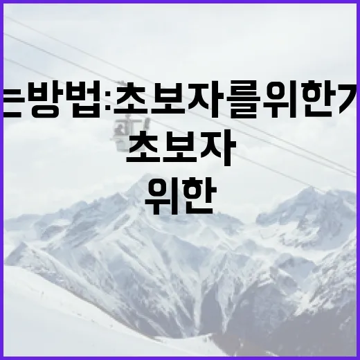 강원 마치다를 즐기는 방법: 초보자를 위한 가이드 - 요약
