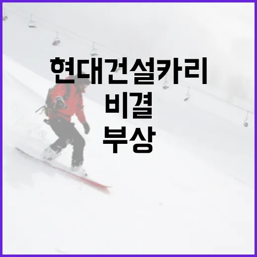 무릎 부상 극복을 위한 현대건설 카리의 비결 - 요약