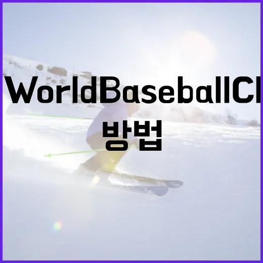 WBC(World Baseball Classic) 이해하고 즐기는 방법 - 요약