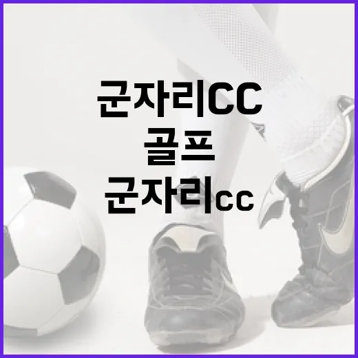 군자리CC에서 골프를 즐기는 방법 - 요약