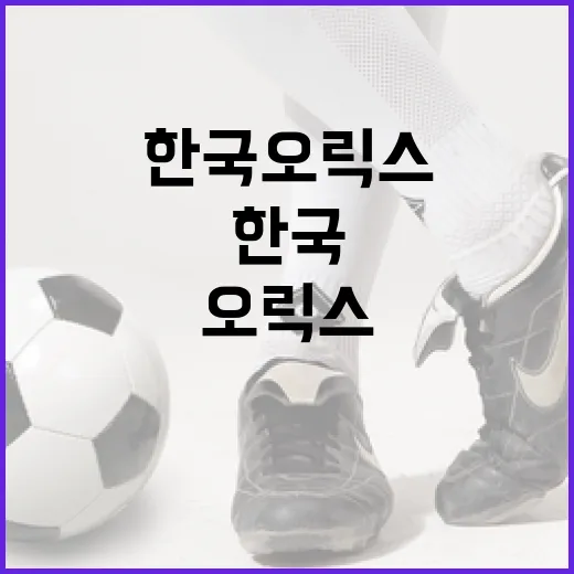 한국 오릭스를 이해하고 활용하는 방법 - 요약