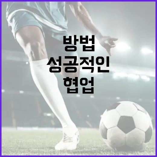 김상겸과 박한솔을 통해 배우는 성공적인 협업 방법 - 요약