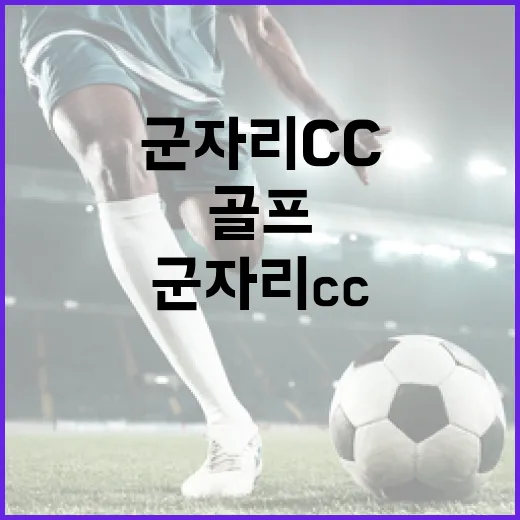 군자리CC에서 골프를 즐기는 방법 - 요약
