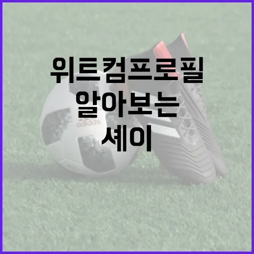 셰이 위트컴 프로필을 알아보는 방법 - 요약