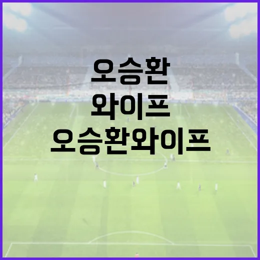 오승환 와이프에 대해 알아보는 방법 - 요약