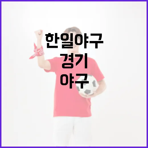 한일 야구 경기를 즐기는 방법 - 요약