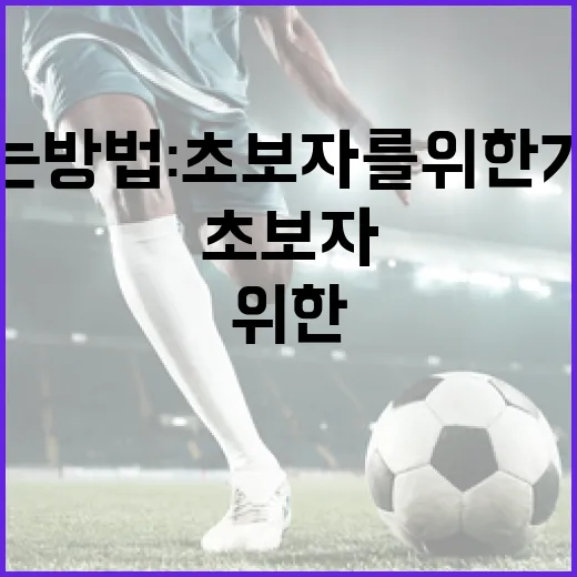 정하오춘을 즐기는 방법: 초보자를 위한 가이드 - 요약