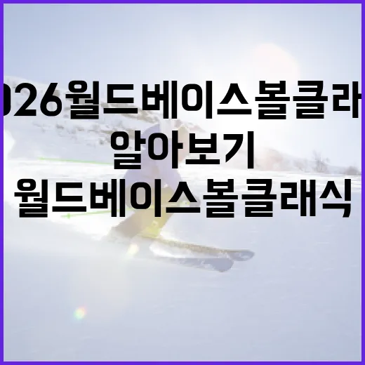 2026 월드 베이스볼 클래식 일정 알아보기 - 요약