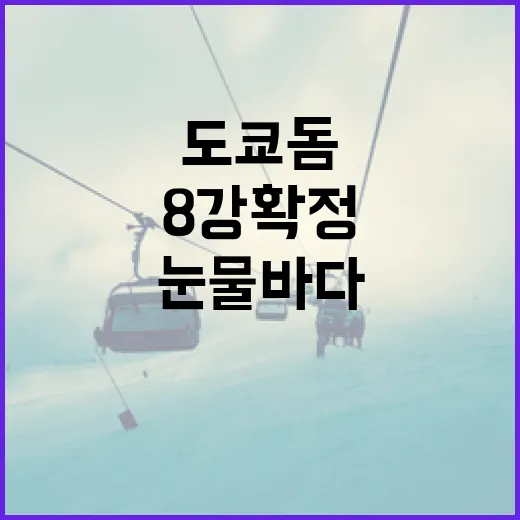 문보경 프로필을 알아보는 방법 - 요약