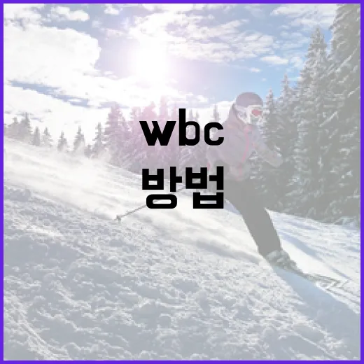 WBC를 이해하고 활용하는 방법 - 요약