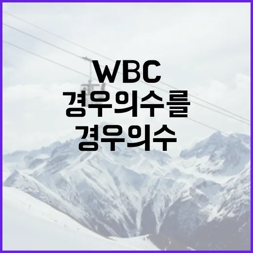 WBC 경우의 수를 이해하는 방법 - 요약