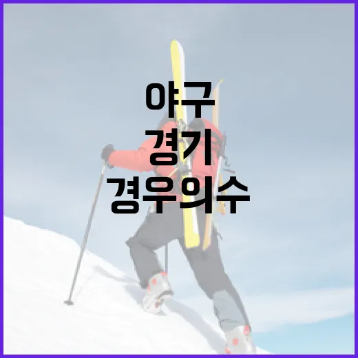 야구 경기에서 경우의 수를 이해하는 방법 - 요약